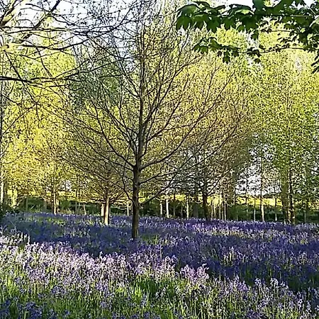 Hollicarrs - Sunflower Chata *