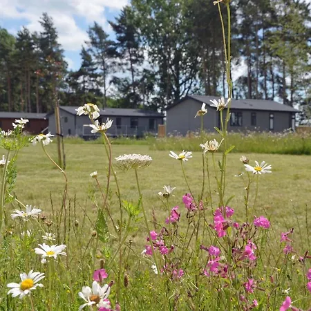 Lodge Hollicarrs - Sunflower *