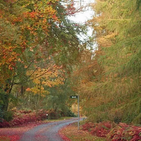 Hollicarrs - Sunflower * York