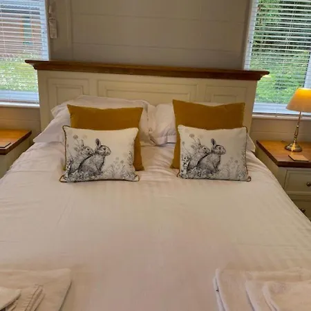 Chata Hollicarrs - Sunflower York