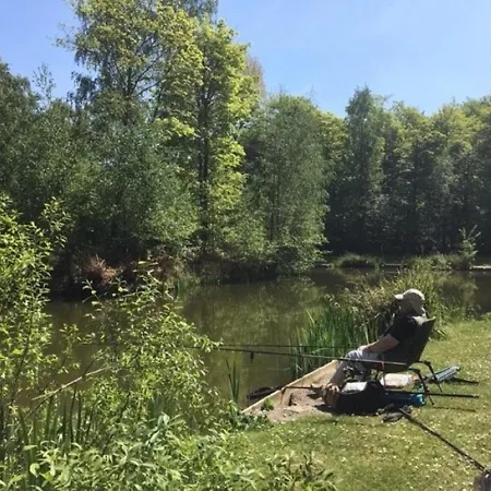 Hollicarrs - Sunflower