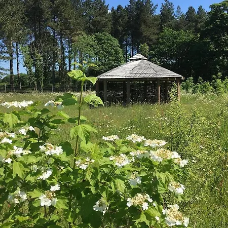 Hollicarrs - Sunflower 山林小屋 约克