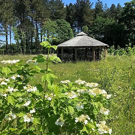 山林小屋 Hollicarrs - Sunflower *