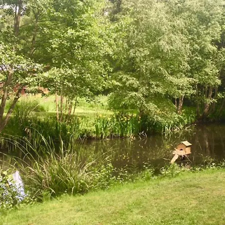 Hollicarrs - Sunflower Orman Evi