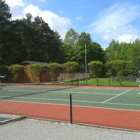 Orman Evi Hollicarrs - Sunflower York